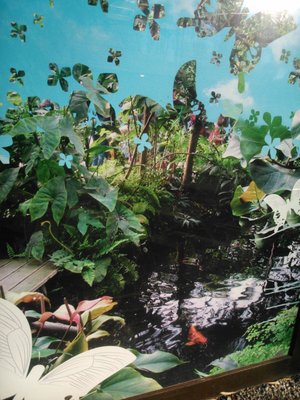 Naturospace Honfleur by null