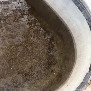 Melone's Pool Service - the water in the pool - Pool Cleaners Near Me Melone's Pool Service - the water in the pool - Pool Cleaners Near Me