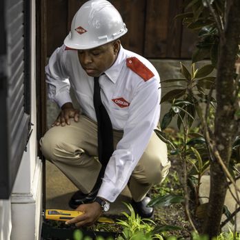 Orkin - Pest Control Near Me - Paducah, Kentucky Orkin - Pest Control Near Me - Paducah, Kentucky