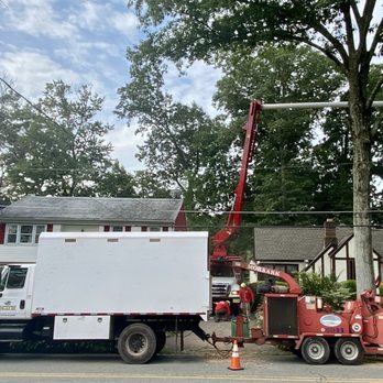 East Coast Tree Experts - Tree Services Near Me - Boonton, New Jersey East Coast Tree Experts - Tree Services Near Me - Boonton, New Jersey