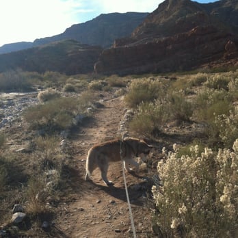 Virgin River Canyon Recreation Area - Hiking Near Me - Littlefield, Arizona Virgin River Canyon Recreation Area - Hiking Near Me - Littlefield, Arizona