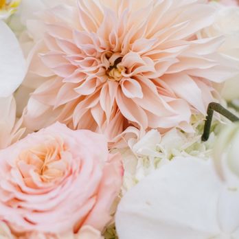 Poppy's Petalworks - Floral Designers Near Me - San Francisco, California Poppy's Petalworks - Floral Designers Near Me - San Francisco, California
