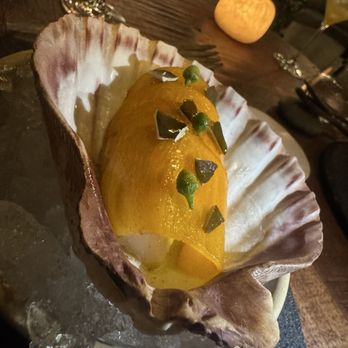 Meteora - scallop - New American Near Me - Los Angeles, California