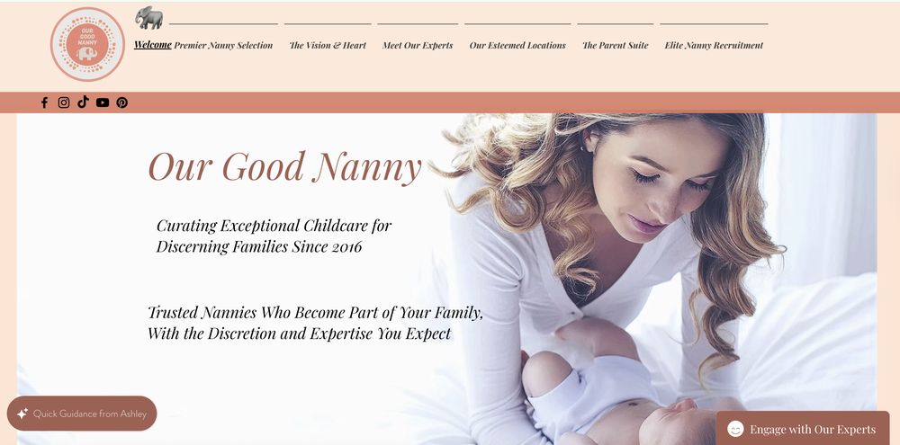 Our Good Nanny - childcare center in Saint Petersburg, FL