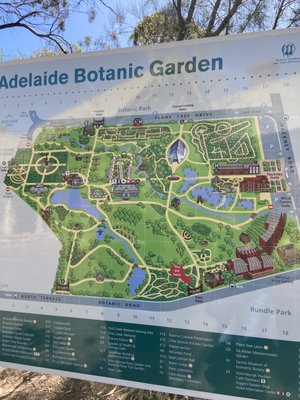 Adelaide Botanic Garden by null
