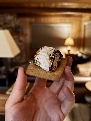 The Redwoods In Yosemite by null