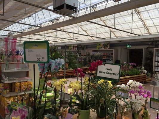 DEHNER - Updated October 2026 - 31 Photos - Dachauer Str. 543, München, Bayern, Germany - Home & Garden - Phone Number