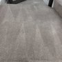 Photo of Tulip Carpet Cleaning Potomac