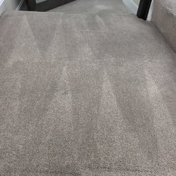 Tulip Carpet Cleaning Potomac - carpet cleaning (after)