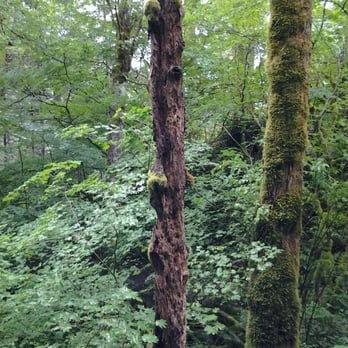 Beacon Rock State Park - Parks Near Me - Stevenson, Washington