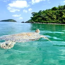 Empire Boat Charters