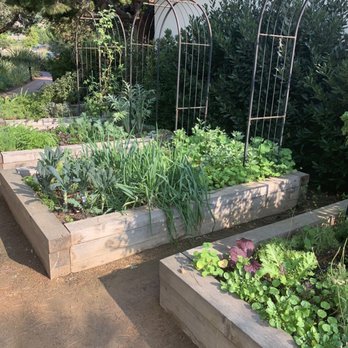 mar'sel - Herb garden - New American Near Me - Rancho Palos Verdes, California mar'sel - Herb garden - New American Near Me - Rancho Palos Verdes, California