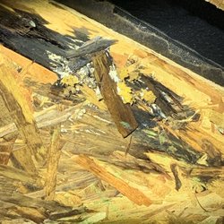K Hovnanian Homes - Leaking ridge vent
