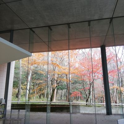 Pola Museum of Art by null