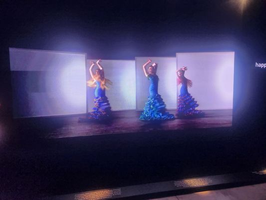 Flamenco Dance Museum by null