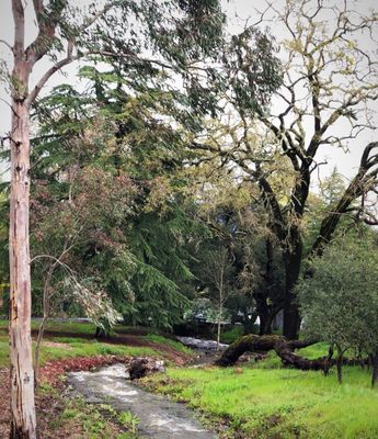 Veterans Home of California, Yountville by null