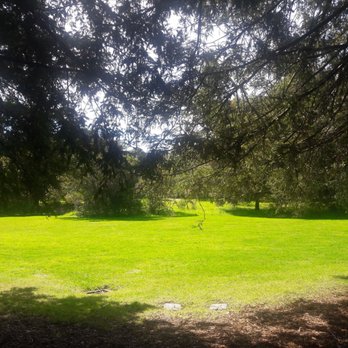 Cornelis Bol Park - Parks Near Me - Palo Alto, California Cornelis Bol Park - Parks Near Me - Palo Alto, California
