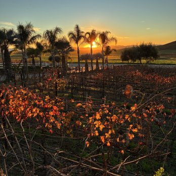Chapin Family Vineyards - View of sunset from the back porch of tasting building. - Wineries Near Me - Temecula, California Chapin Family Vineyards - View of sunset from the back porch of tasting building. - Wineries Near Me - Temecula, California