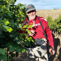 Paul showing us how it's done. Harvest 2016