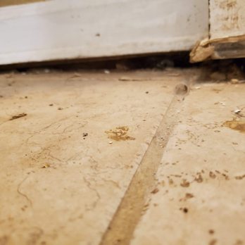 Rusty's Pest Control - Bathroom floor and shower - Pest Control Near Me - Fort Walton Beach, Florida