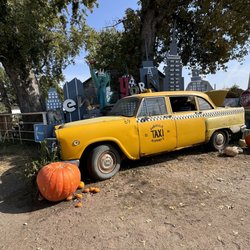 Sycamore Farm