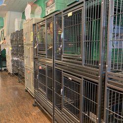 The Animal Company - Birds in captivity to be sold for profit