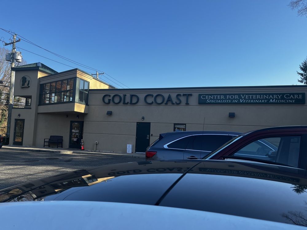 GOLD COAST CENTER FOR VETERINARY CARE Updated May 2024 13 Photos