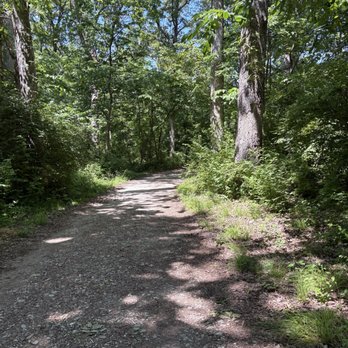 Edgar M. Queeny County Park - Trail - Hiking Near Me - Ballwin, Missouri