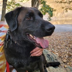 Boondock Boarding and Rescue - Murphy