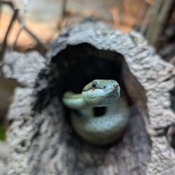 Allwetterzoo