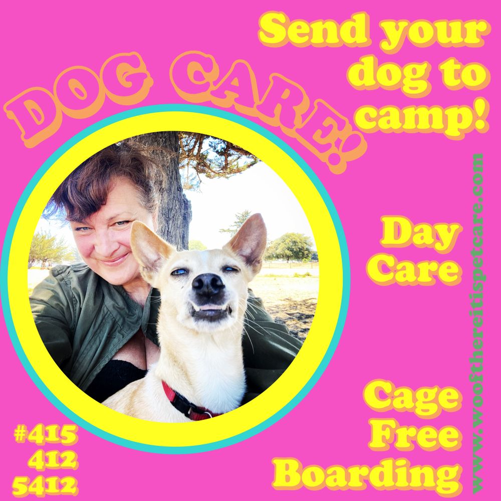 TOP 10 BEST Dog Boarding Overnight in Vacaville, CA - Updated 2026 - Yelp