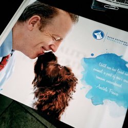 Bush Veterinary Neurology Service - Leesburg