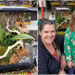 petsmart wee wee pads