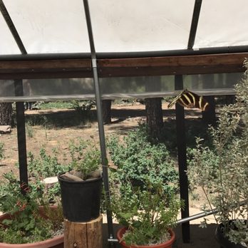 The Arboretum at Flagstaff - Parks Near Me - Flagstaff, Arizona