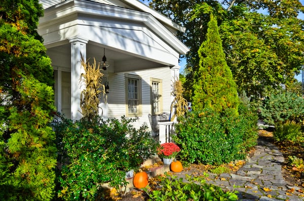 The Black Boar Inn by null