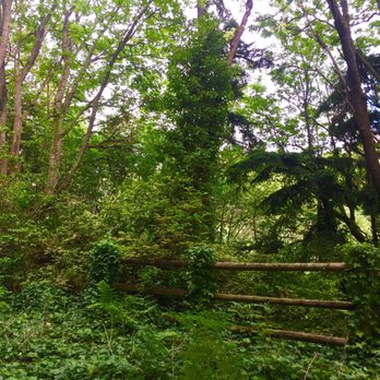 Saltwater State Park - Green Scenes @SaltwaterStatePark (DesMoines,Wa - Parks Near Me - Des Moines, Washington Saltwater State Park - Green Scenes @SaltwaterStatePark (DesMoines,Wa - Parks Near Me - Des Moines, Washington