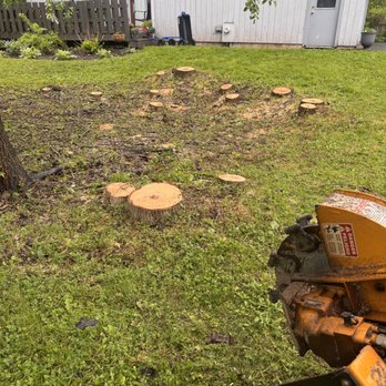 Brancato's Stump Grinding - Tree Services Near Me - Bridgeport, New York Brancato's Stump Grinding - Tree Services Near Me - Bridgeport, New York