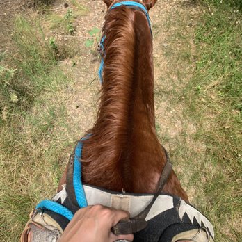 Vin Hesten Trail Rides - Ranger - Horseback Riding Near Me - Temecula, California