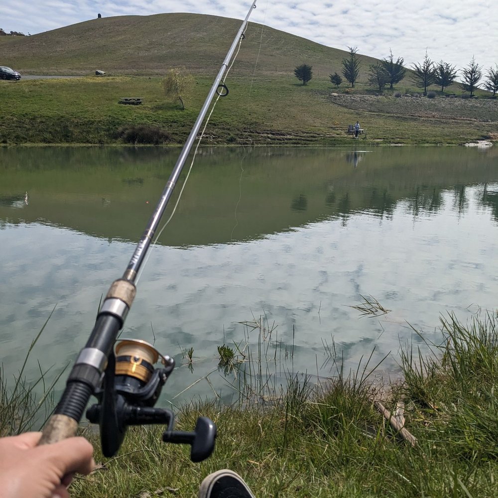 TOP 10 BEST Trout Fishing near Lake Merritt, Oakland, CA - Updated 2026 -  Yelp