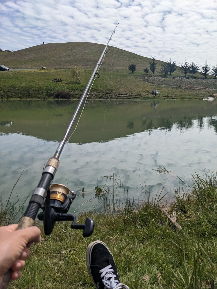 Hagemann Ranch Trout Farm - equestrian in Bodega, CA