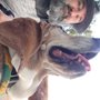 Pawsitive Vibes Pet Retreat