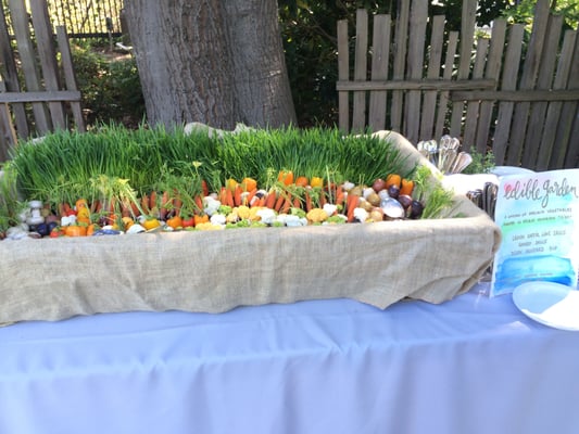 Elaine Bell Catering by null