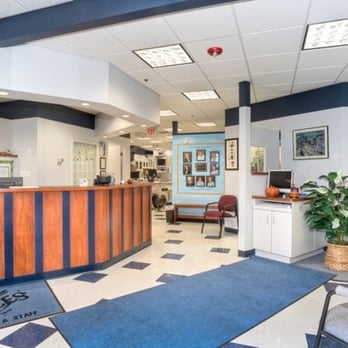 Pavlo Orthodontics - Reception Area - Orthodontists Near Me - Peabody, Massachusetts Pavlo Orthodontics - Reception Area - Orthodontists Near Me - Peabody, Massachusetts