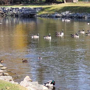 Mill Pond Park - Parks Near Me - Menomonee Falls, Wisconsin