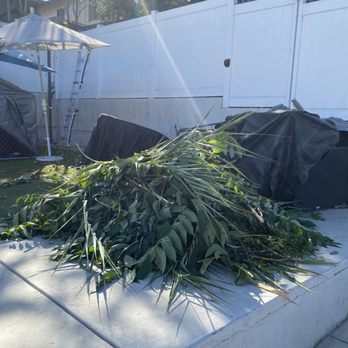 Acme Exterior Solutions - Tree Pruning/ Clean Up - Lawn Services Near Me - West Covina, California Acme Exterior Solutions - Tree Pruning/ Clean Up - Lawn Services Near Me - West Covina, California