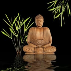 Niklas Spitz, CMT - Zen Shiatsu