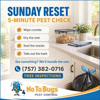 No To Bugs - Pest Control Near Me No To Bugs - Pest Control Near Me
