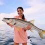 Fan Sea Luxury Charters