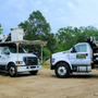 Photo of Andy's Tree Service