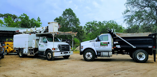 ANDY’S TREE SERVICE - Updated June 2026 - 17867 Cr 461, Brazoria, Texas ...